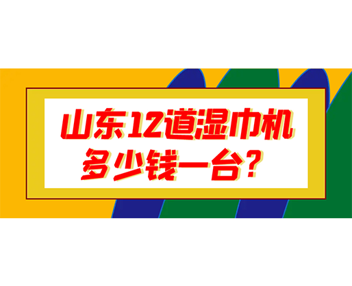 山東12道濕巾機多少錢一臺？